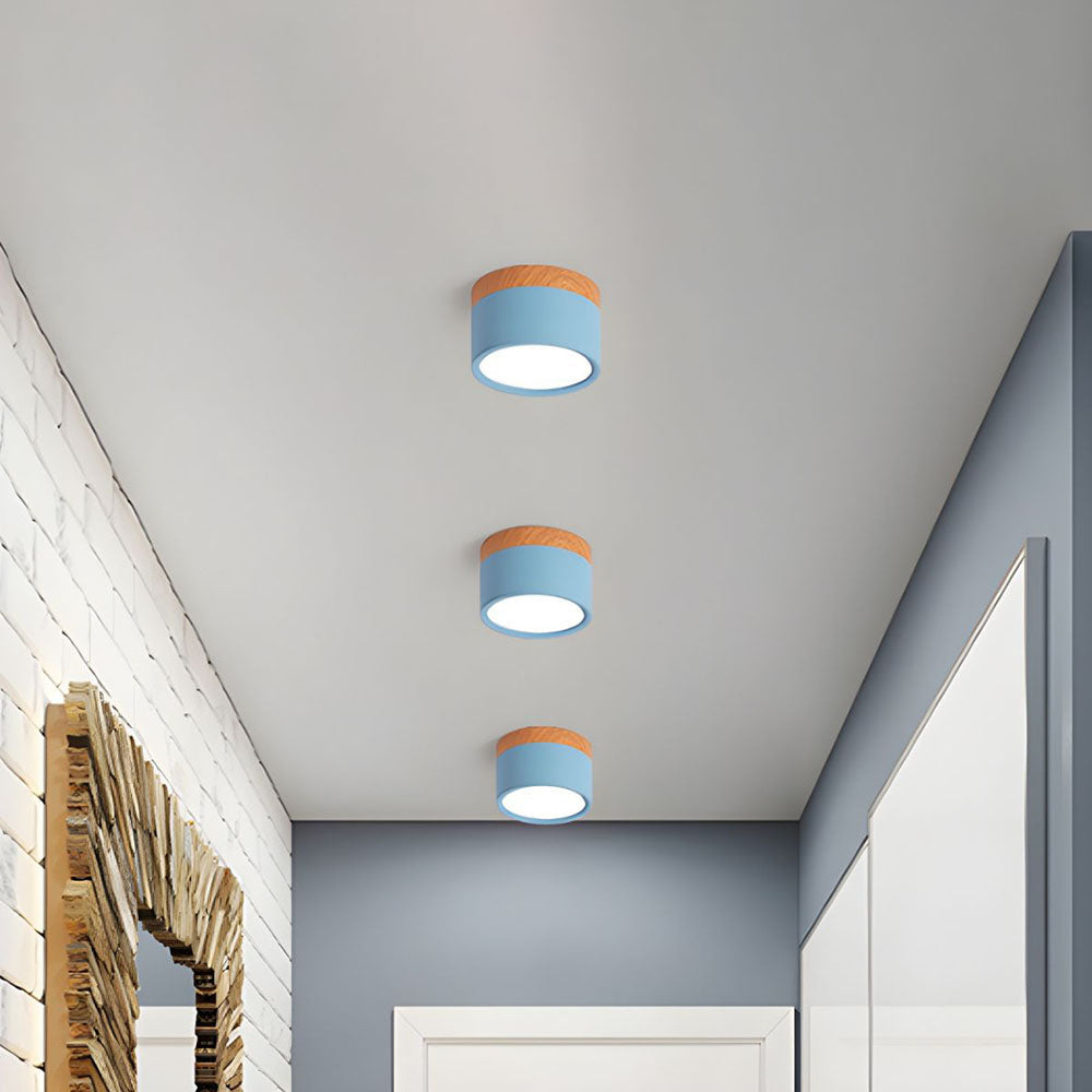 Modern Flush Ceiling Light | Energy-Efficient LED 1
