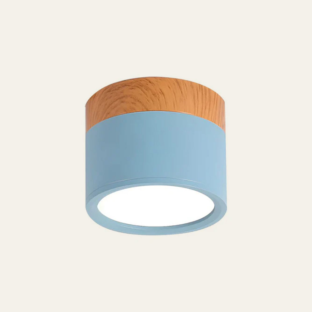 Modern Flush Ceiling Light | Energy-Efficient LED 10