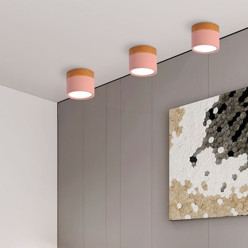 Modern Flush Ceiling Light | Energy-Efficient LED 8