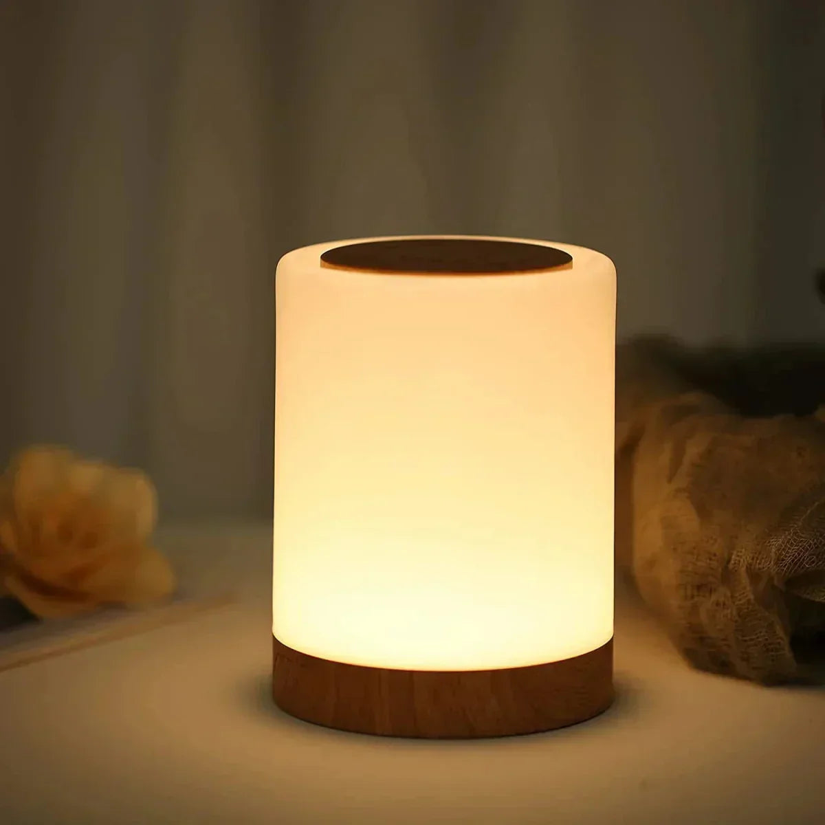 Touch Control LED Table Lamp | Portable & Rechargeable 1