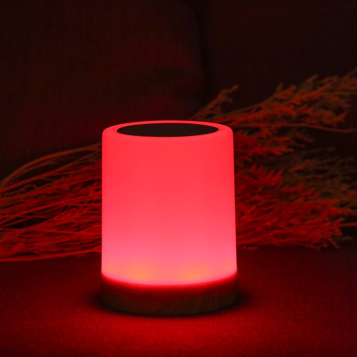 Touch Control LED Table Lamp | Portable & Rechargeable 4