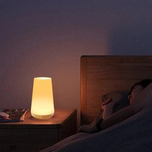 Touch Control LED Table Lamp | Portable & Rechargeable 5