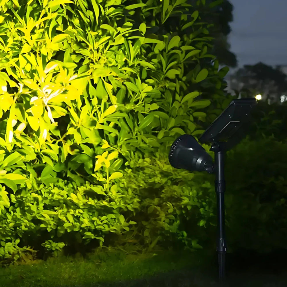 Weather-Resistant Solar Garden Light | Automatic Dusk-to-Dawn 9