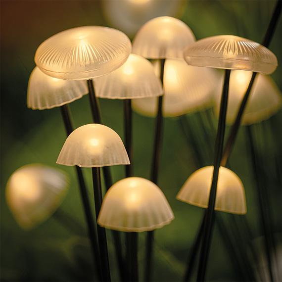 Charming Solar Garden Lights | Eco-Friendly & Weather-Resistant 0