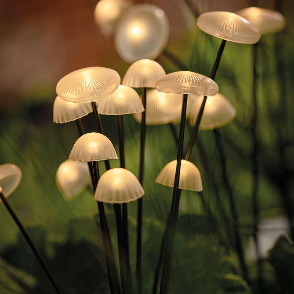 Charming Solar Garden Lights | Eco-Friendly & Weather-Resistant 2