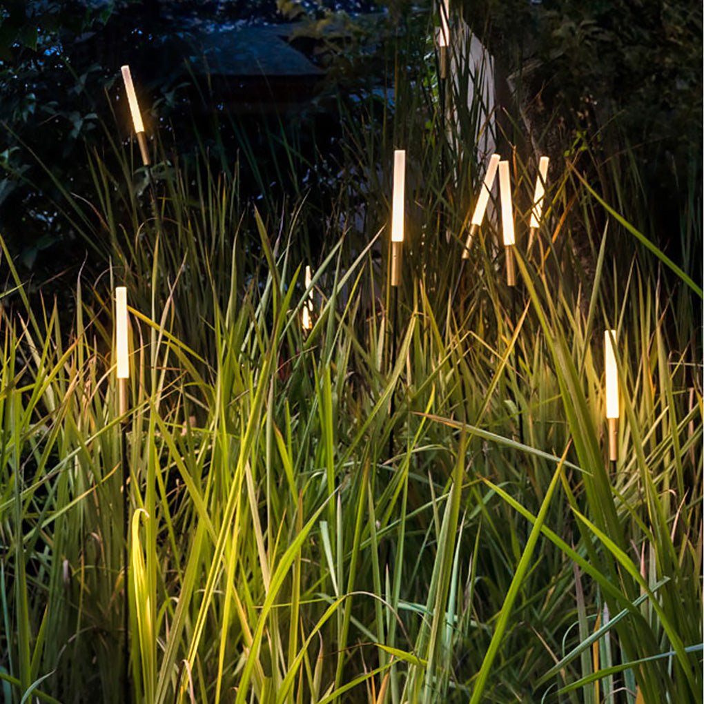 Elegant Solar Garden Lights | Modern Stainless Steel Design 5