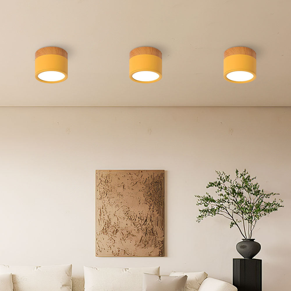 Modern Flush Mount LED Ceiling Light | Energy Efficient & Space-Saving 12