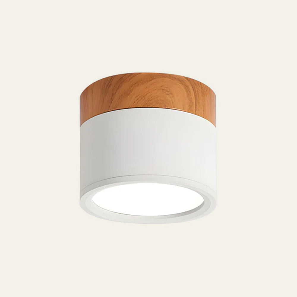 Modern Flush Mount LED Ceiling Light | Energy Efficient & Space-Saving 2