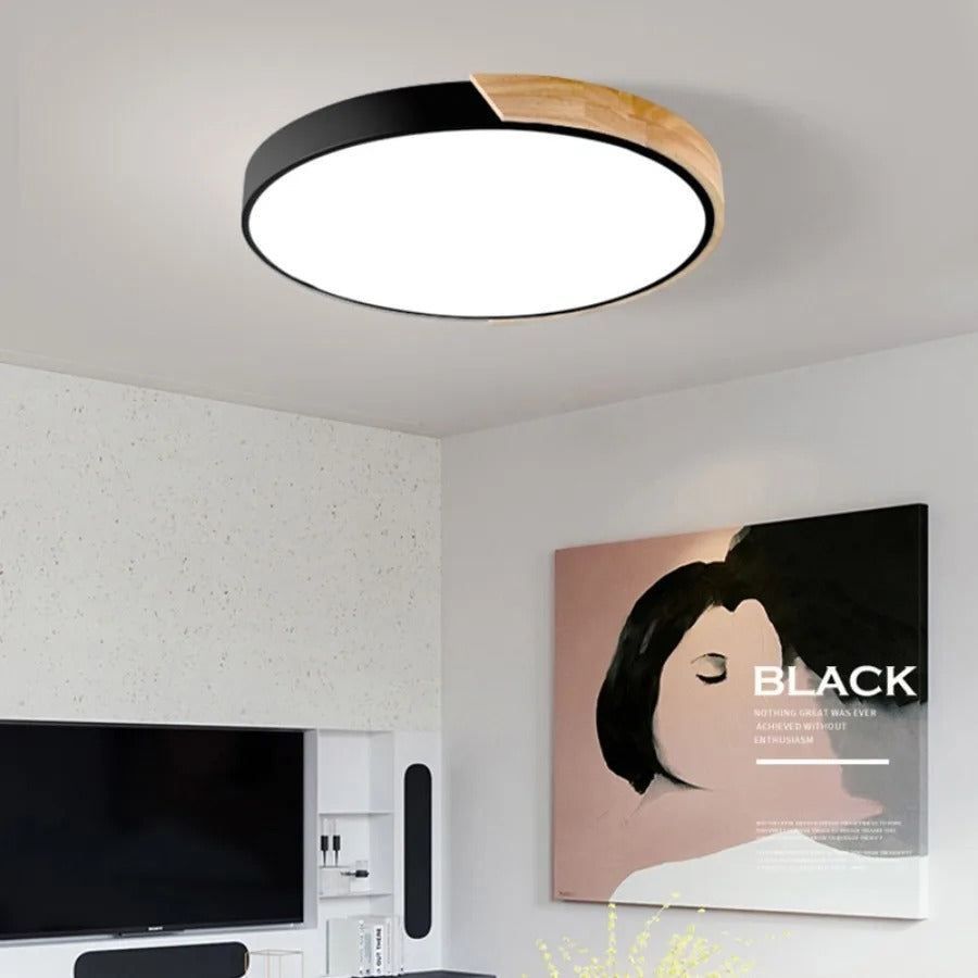 Modern Scandinavian Ceiling Light | LED Flush Mount 1
