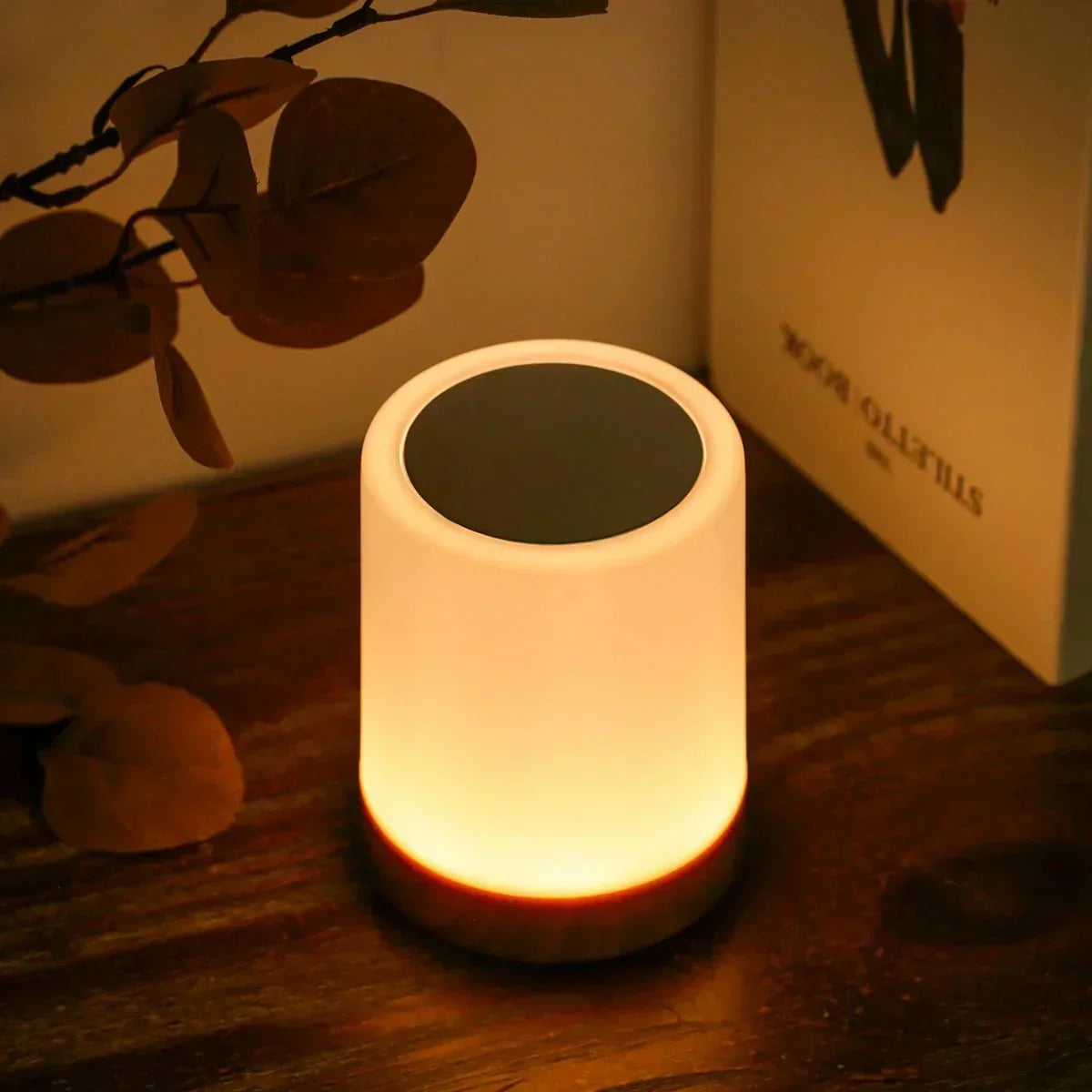 Touch Control LED Table Lamp | Portable & Rechargeable 3