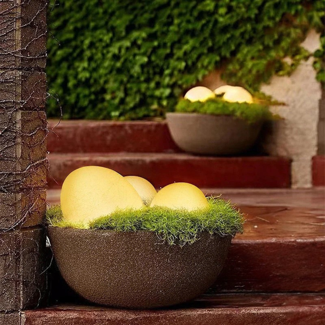 Weather-Resistant LED Garden Light | 16 Color Options 5