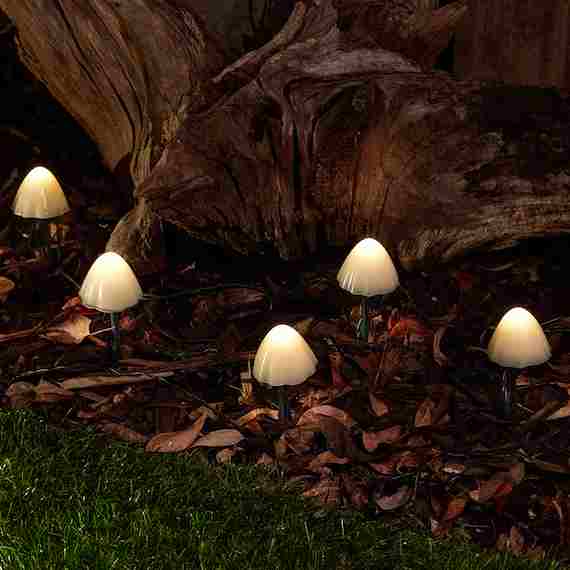 Whimsical Solar Garden Lights | Eco-Friendly Outdoor Decor 0